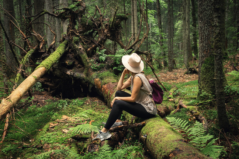 A woman sits on a downed tree in a forest while staring off with a pensive look. learn more about how a therapist in Ontario can offer support with finding self fulfillment in Toronto, CA. Search for therapy for finding fulfillment in Toronto, CA today.