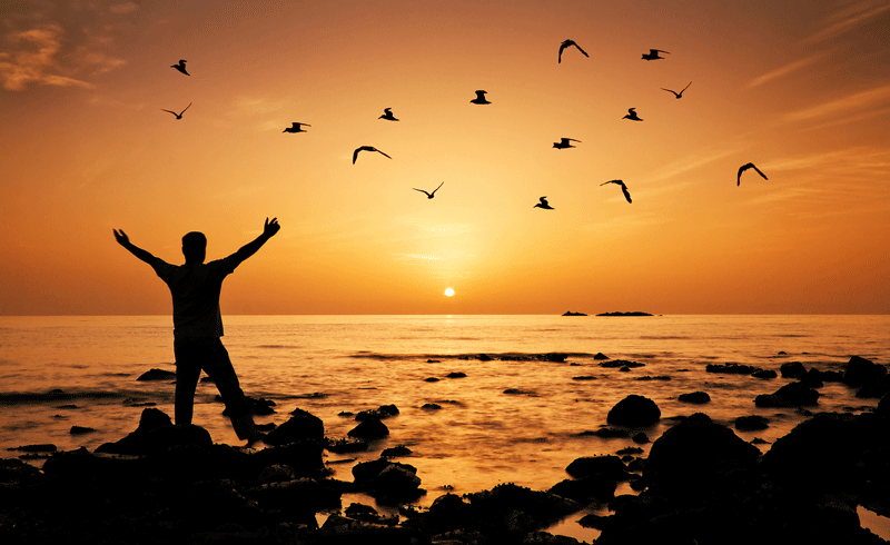 A person with raised arms in a sunrise and birds flying by the ocean.  This could symbolize overcoming signs of an unfulfilled life in Toronto, CA. Learn more about finding self fulfillment in Ontario, CA by contacting an Ontario therapist today.