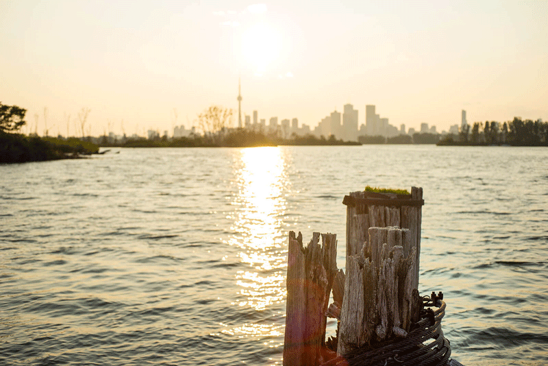 An image of the Toronto skyline next to a lake at Tommy Thompson Park. This could represent a place to find personal fulfillment in Toronto, CA. Learn more about therapy for finding fulfillment in Ontario by searching for an Ontario, Canada therapist today.